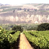 Villa del Monte Winery