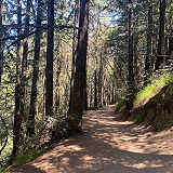 Sequoia Bayview Trail Trailhead