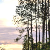 Nassau Village Ratliff