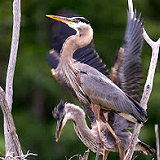 Horse Hill Nature Preserve