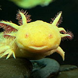 Aquarium Medellin