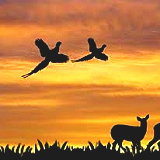 Four Rivers Sportsman's Club