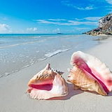 Turks and Caicos Islands