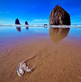 Cannon Beach