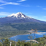 Araucania