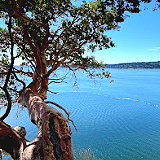 Camano Island